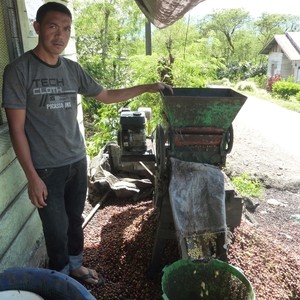 Ywangan smallholders  - Washed